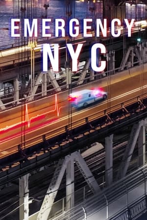 Emergencias: Nueva York Online